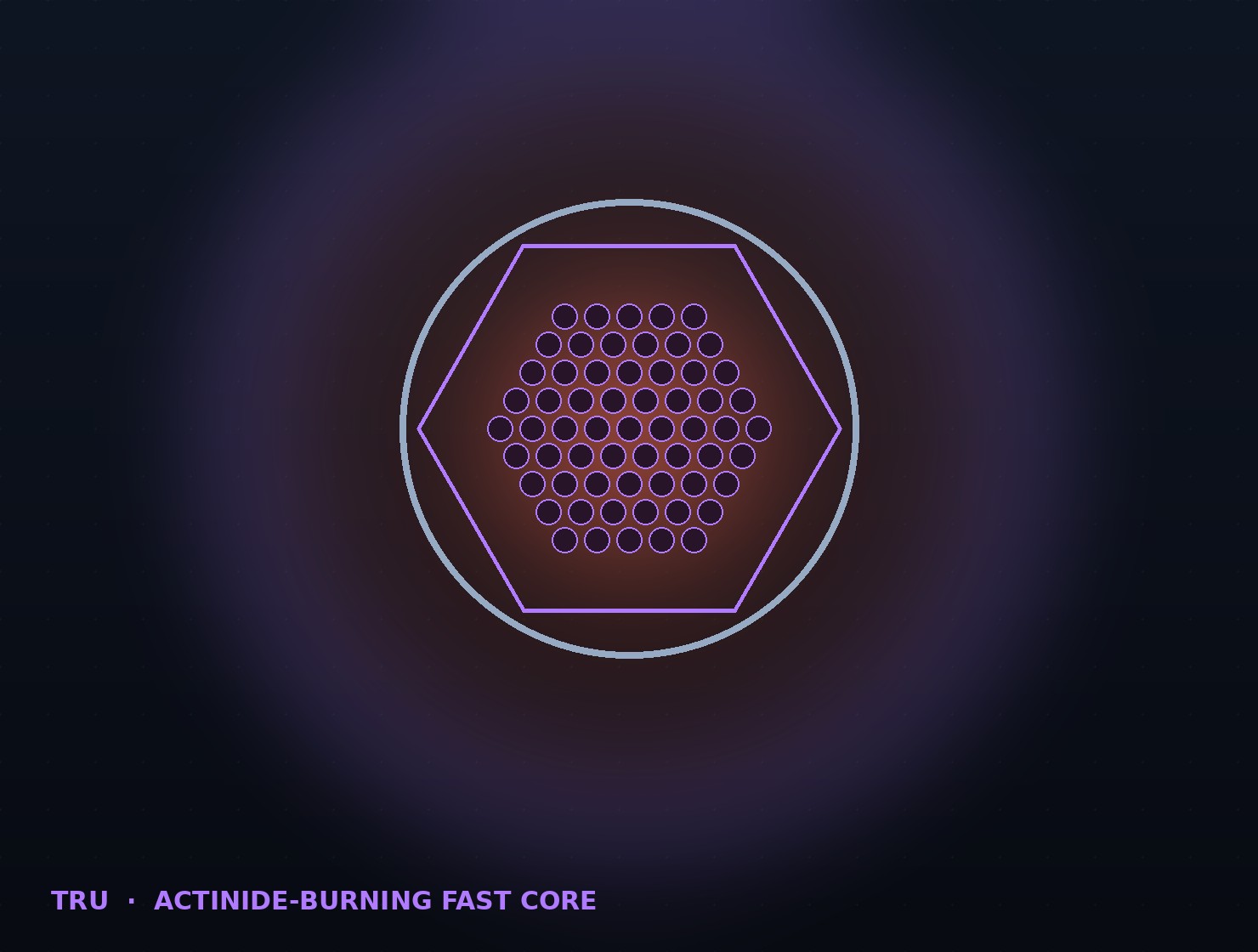 TRU fast reactor